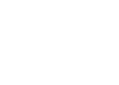 New Year Bash
