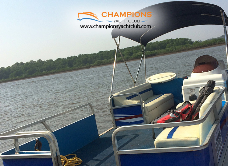 Champion Pontoon Cruiser