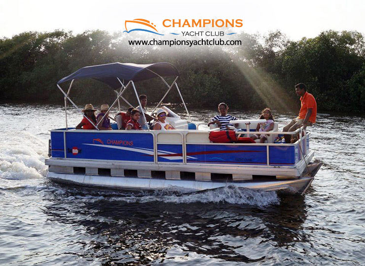 Champion Pontoon Cruiser